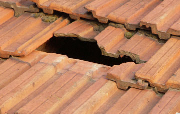 roof repair Bickerton