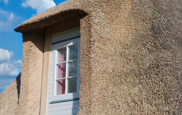 Bickerton thatch roof disadvantages
